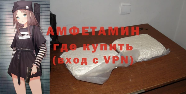 ECSTASY Пересвет