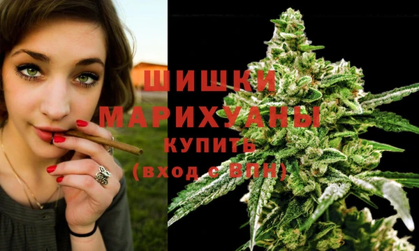 ECSTASY Пересвет