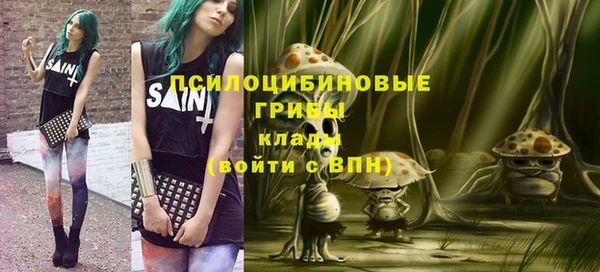 скорость Пестово