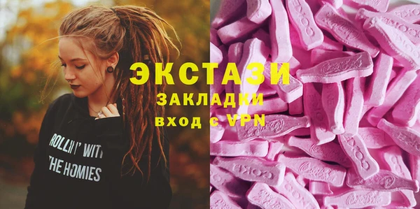 ECSTASY Пересвет