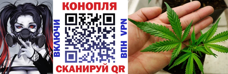 Купить закладки  Петров Вал  Марихуана ГИДРОПОН 
